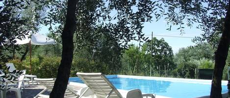 Casa | Alberca | Alberca techada y alberca al aire libre