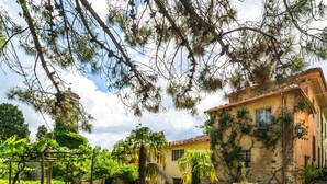 A courtyard with potted plants, a pergola, and a building with a tiled roof. - Italian Stay: Bacchereto Wine Country (Carmignano)