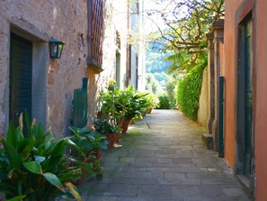 House | Exterior - Rustic Farmhouse Stay, Carmignano (Carmignano)