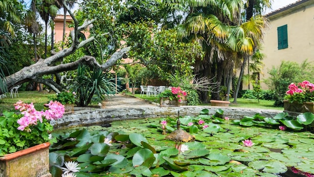House | Garden - Rustic Farmhouse Stay, Carmignano (Carmignano)