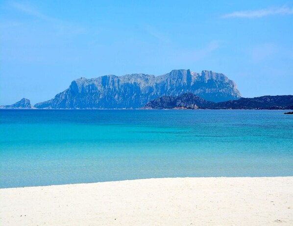 Apartment | View from property