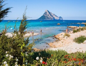 Apartment | View from property - Belvilla by OYO Casa Teodoro (Loiri Porto San Paolo)