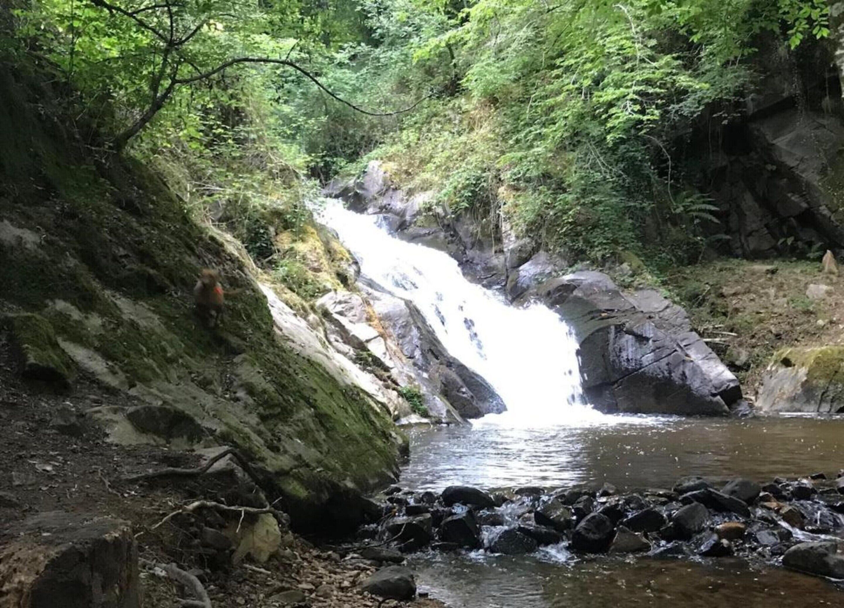 A waterfall in a forested area with rocky terrain and a stream at the base.