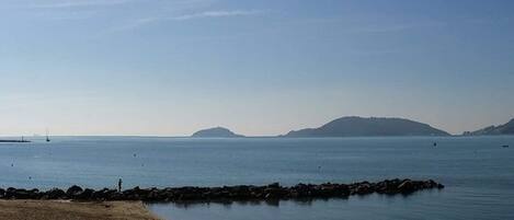 House | View from property