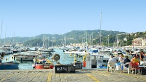 Un port de plaisance avec des bateaux amarrés, un ciel dégagé et un paysage vallonné en arrière-plan.