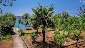 A pathway leading to a beach with palm trees and shrubs. - Apartment in Seline by the Sea (Starigrad)