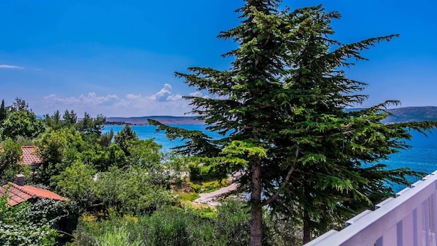 A coastal view with a prominent evergreen tree, a clear blue sky, and a distant shoreline. - Apartment in Seline by the Sea (Starigrad)