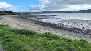 Un paisaje costero con una playa arenosa, zonas cubiertas de hierba y una masa de agua.