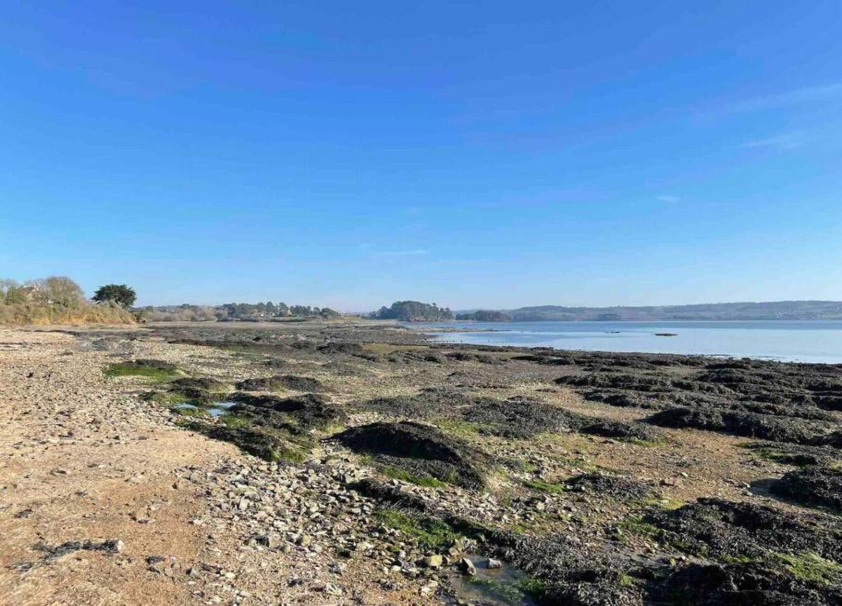 Een kustlandschap met een rotsachtig strand, kalm water en heuvels in de verte.