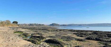 Een kustlandschap met een rotsachtig strand, kalm water en heuvels in de verte.