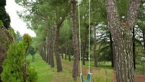 A hammock swing hanging between trees in a forested area. - Exquisite Villa in Cesena With Sauna (Cesena)