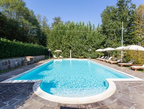 A rectangular swimming pool with a stone border, surrounded by lounge chairs and umbrellas, set against a backdrop of trees and a clear sky. - Villa in Mugello Hills With Private Pool (Vicchio)