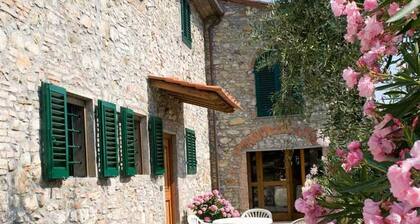 Tuscan Heaven; Vinci and Pistoia