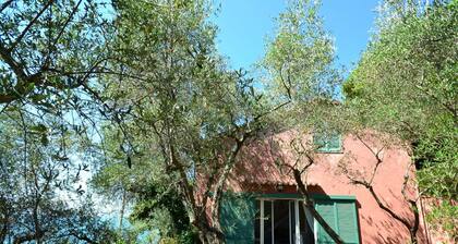 Cozy Holiday Home in Lerici near Sea