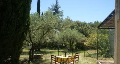 Mediterranean Garden Retreat