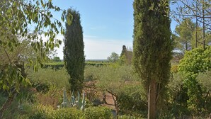 Um jardim com árvores altas, arbustos densos e céu claro.
