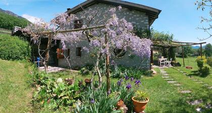 Cozy Detached House, Wide Garden, Wifi