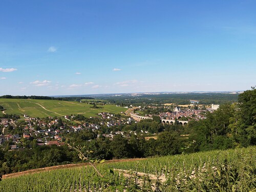 Serene Holiday Home in Saint-maurice-sur-fessard With Terrace