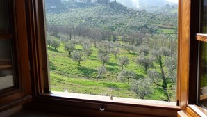 A view through a window of a green landscape with trees and hills. - Farmhouse Abode With Pool and Tuscan Charm (Quarrata)