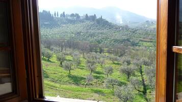 House | View from property