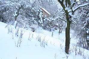 House | Exterior