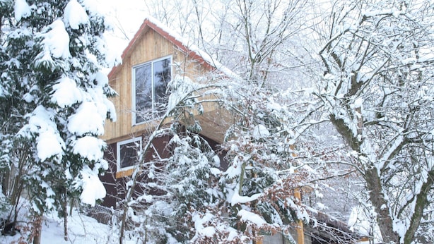 Una cabaña de madera con techo rojo, rodeada de árboles cubiertos de nieve.