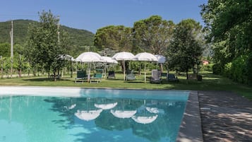 House | Pool | Outdoor pool
