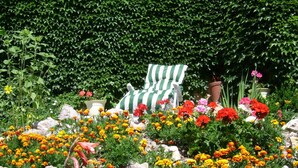 Un jardín con diversas flores, rocas y una silla a rayas.
