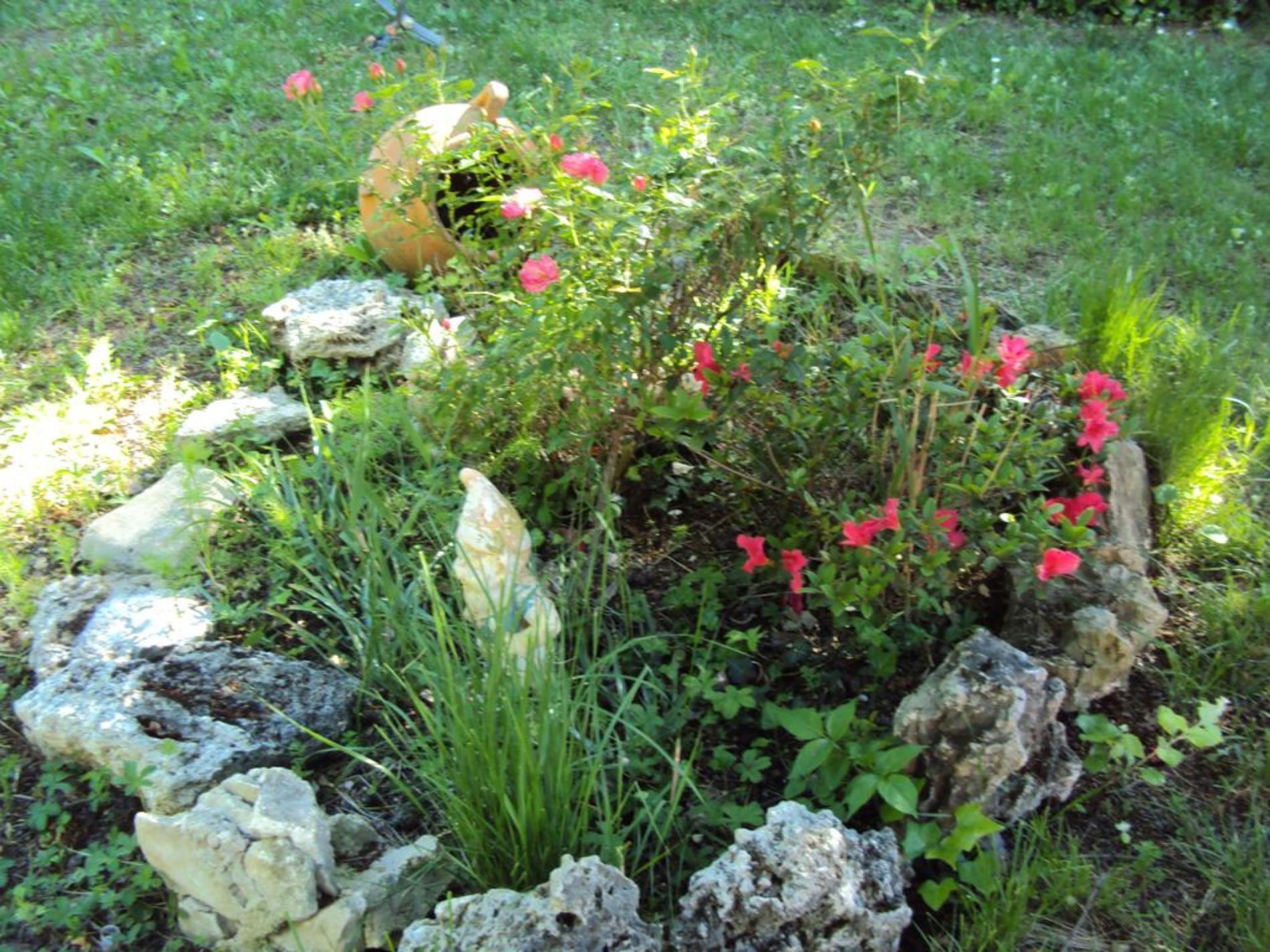 A garden with rocks, green plants, and red flowers.