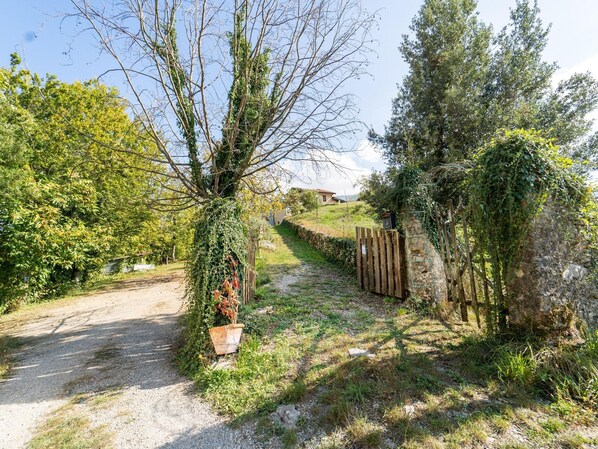 Un sendero rural que lleva a un muro de piedra con una puerta de madera.