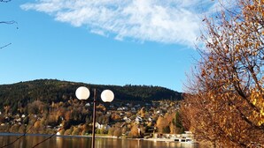 Unclassified image, 3 of 46, button - Brand-new Wooden Chalet Offering Vast Views, 800m From Gérardmer and Close to the Pistes (Gerardmer)