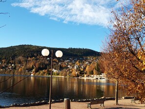 Exterior - Brand-new Wooden Chalet Offering Vast Views, 800m From Gérardmer and Close to the Pistes (Gerardmer)