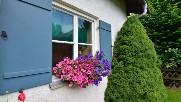 A house with a window adorned with colorful flowers and a neatly trimmed hedge. - Apartment in the Pfaffenwinkel District (Prem)