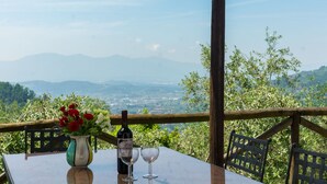 A table with a bottle of wine and two glasses, a vase with flowers, and a view of mountains.