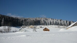 Exterior - Alluring Chalet in Gérardmer With Terrace (Gerardmer)