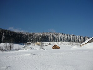 Exterior - Alluring Chalet in Gérardmer With Terrace (Gerardmer)