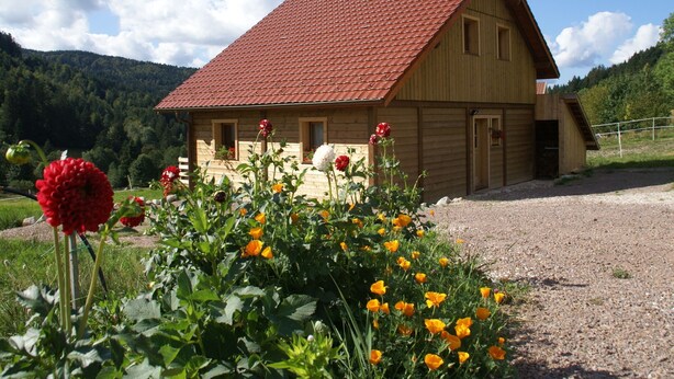 Chalet | Exterior - Alluring Chalet in Gérardmer With Terrace (Gerardmer)