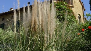 Exterior - Well Kept Property With Garden With Lovely Panorama (Poggio a Caiano)