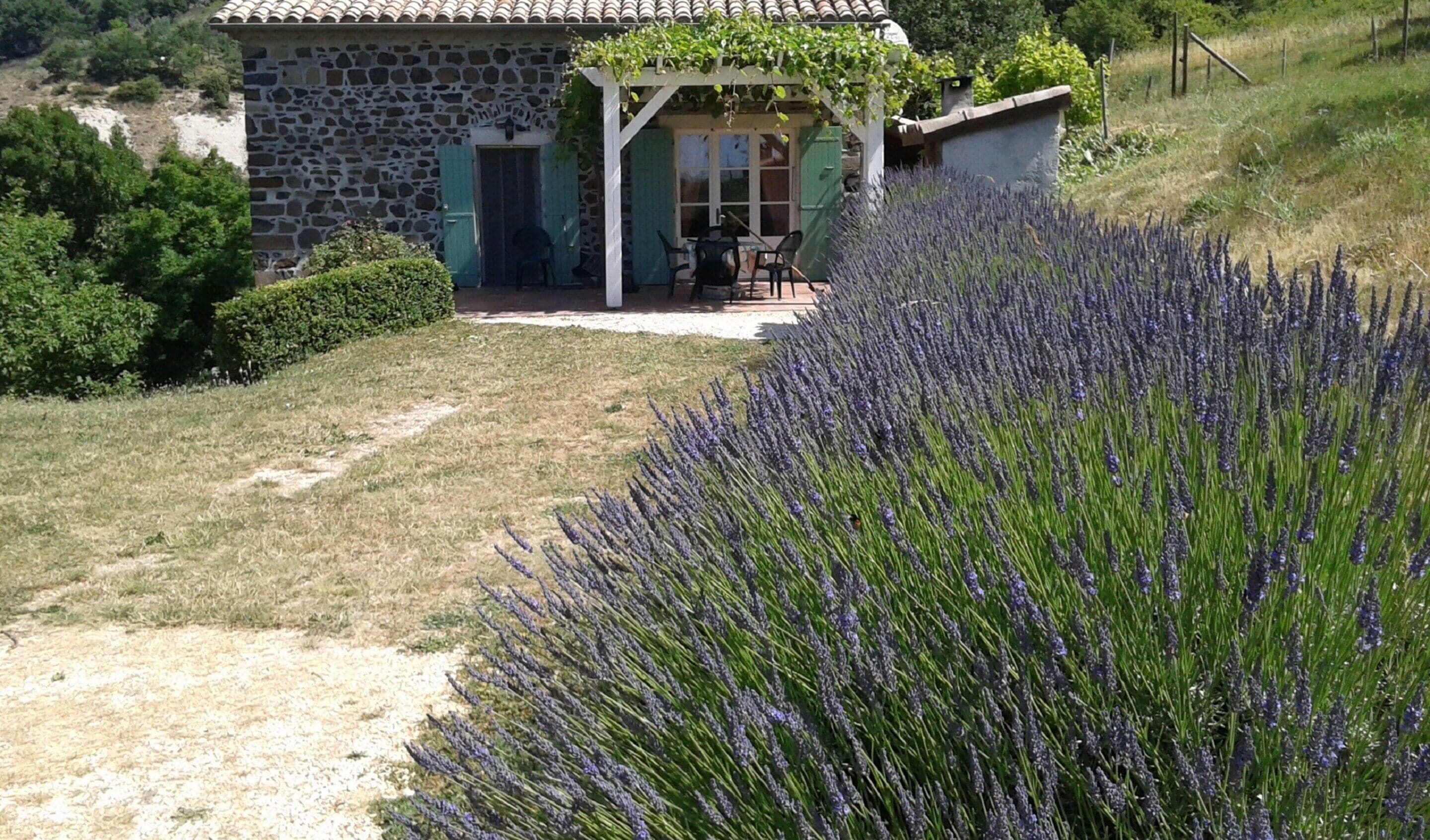 House | Garden