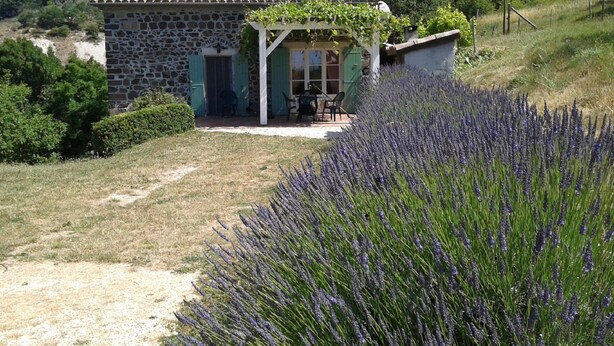 A stone house with a covered patio and a lavender field in the foreground. - Cozy Family Home in Saint-pons (Saint-Pons)