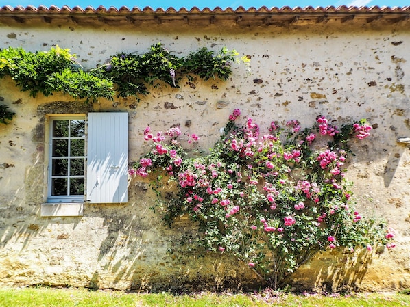 A rustic building with a window and climbing roses. - Holiday Home Saint-laurent Pool & Garden (Saint-Laurent-de-la-Salle)