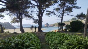Un sendero que lleva a una playa, flanqueado por árboles y arbustos.