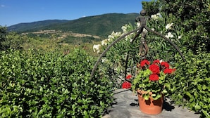Jardí amb una reixa metàl·lica que sosté flors vermelles, envoltat de vegetació exuberant i una vista a les muntanyes llunyanes.