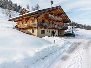 House | Exterior - Mansion in Eben Near Ski Salzburger Sportwelt (Eben im Pongau)