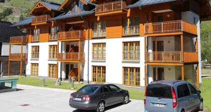 Modern Apartment in Rauris by the Forest