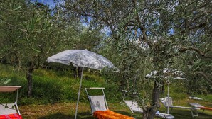 An outdoor seating area with metal chairs and tables, a white umbrella, and olive trees in the background. - Cozy Farmhouse with Swimming Pool in Le Tolfe near Florence (Siena)