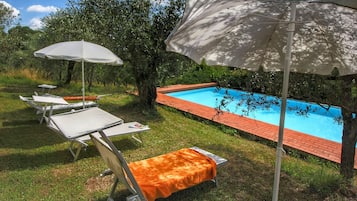 House | Pool | Outdoor pool