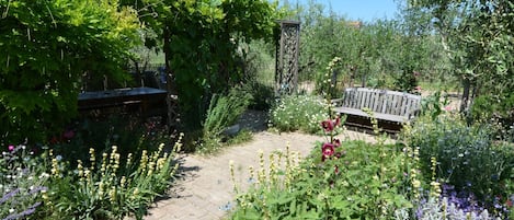 A garden with a paved walkway, a wooden bench, and various flowering plants.
