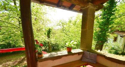 Vintage Vacation Home