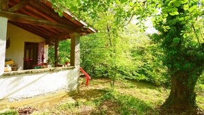 A rustic wooden building with a porch, surrounded by lush greenery and trees. - Vintage Vacation Home (San Marcello Piteglio)